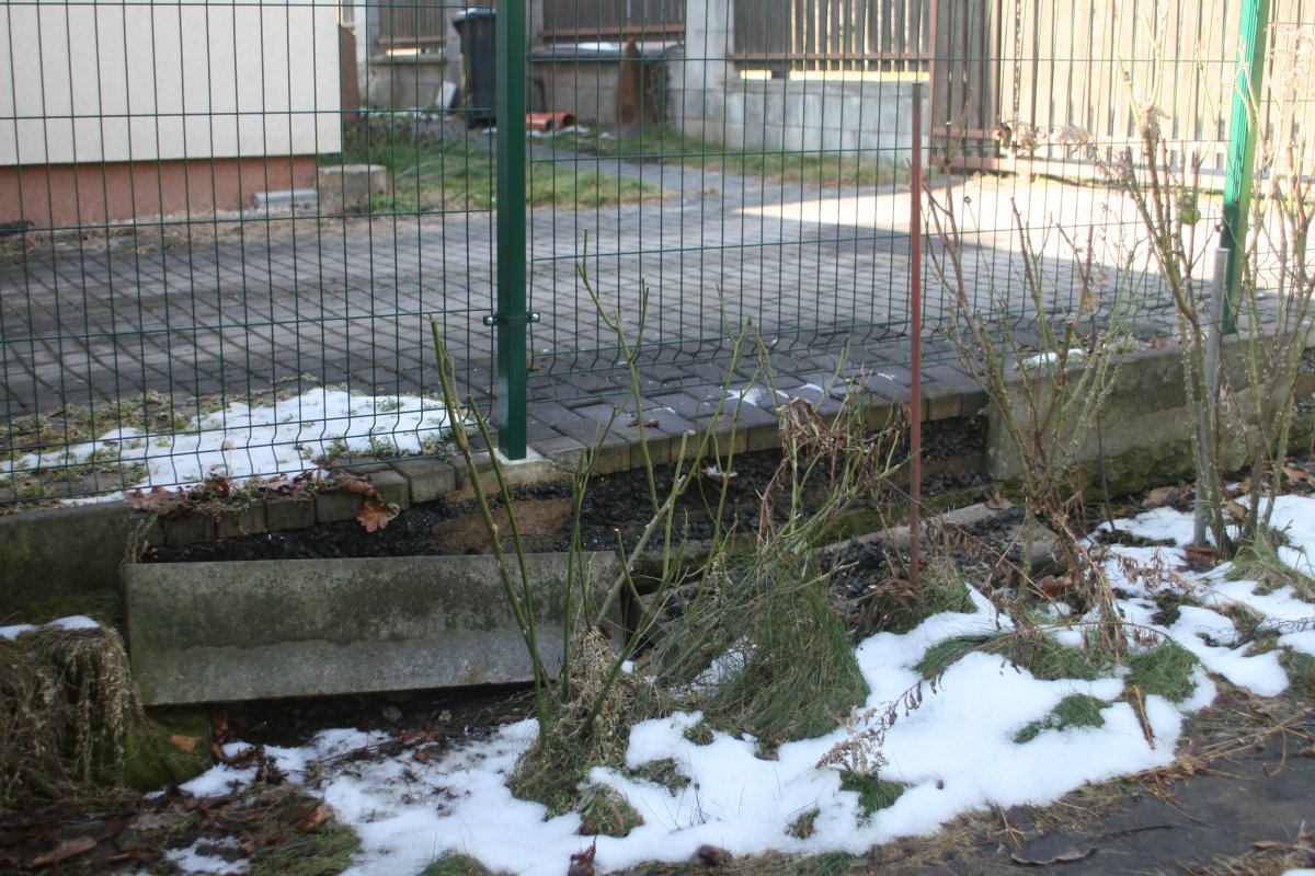 plot sousedky Ivetky